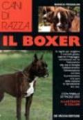 Il boxer