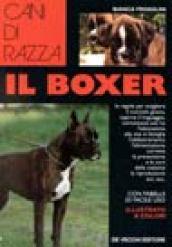 Il boxer