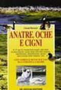 Anatre, oche e cigni