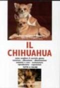 Il chihuahua