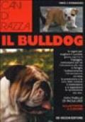 Il bulldog