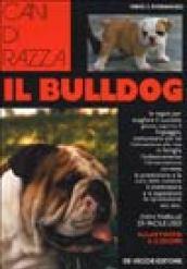 Il bulldog