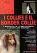 I collies e il border collie