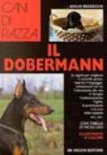 Il dobermann