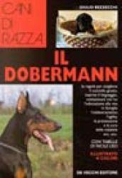 Il dobermann