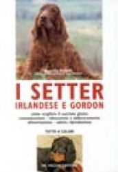 I setter. Irlandese e gordon