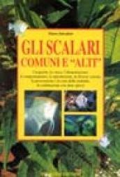 guida agli scalari comuni e «alti»