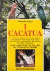 I cacatua