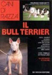 Il bull terrier