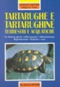 Tartarughe e tartarughine terrestri e acquatiche