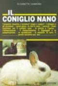 Il coniglio nano