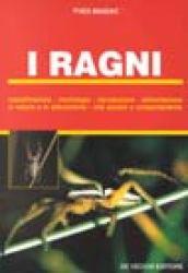 I ragni