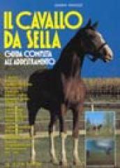 Il cavallo da sella