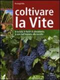 Coltivare la Vite (Guide del buon raccolto)