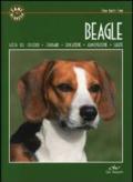 Beagle