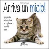 Arriva un micio! Preparativi, attrezzatura, accoglienza, consigli, cure