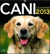 Cani. Calendario 2013