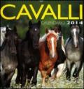 Cavalli. Calendario 2014
