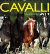 Cavalli. Calendario 2014