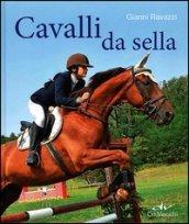 Cavalli da sella