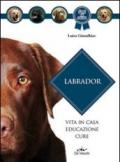 Labrador