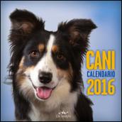 Cani. Calendario 2016