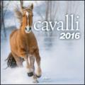 Cavalli. Calendario 2016