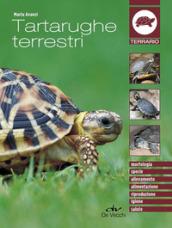 Tartarughe terrestri