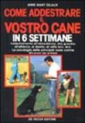 Come addestrare il vostro cane in 6 settimane