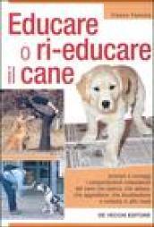 Educare o ri-educare il cane