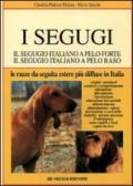 I segugi