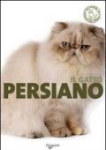 Il gatto persiano