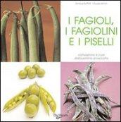 I fagioli, i fagiolini e i piselli. Coltivazione e cure dalla semina al raccolto