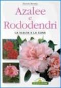 Azalee e rododendri