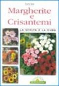 Margherite e crisantemi