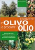 Coltivare l'olivo e produrre l'olio