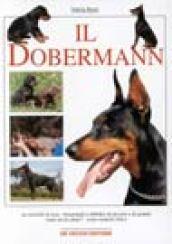 Il dobermann