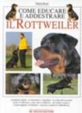 Come educare e addestrare il rottweiler