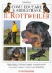 Come educare e addestrare il rottweiler