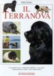 Il terranova