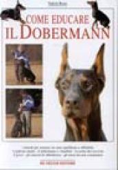 Come educare il dobermann