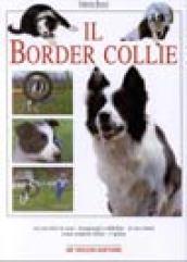 Il border collie