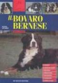 Il bovaro bernese