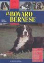 Il bovaro bernese