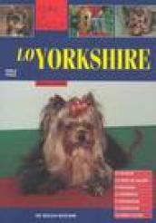 Lo yorkshire