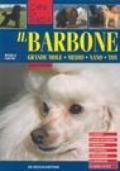 Il barbone