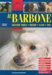 Il barbone