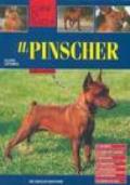 Il pinscher