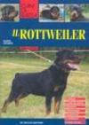 Il rottweiler