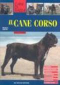 Il cane Corso